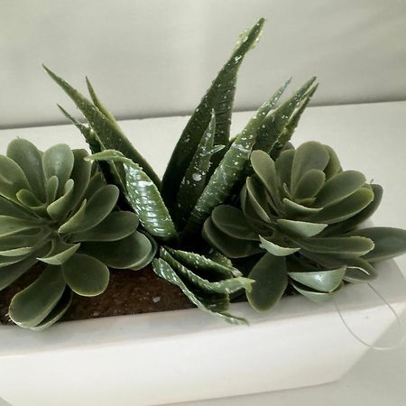 Apartament Laura Z Ogrodkiem 키엘체 외부 사진
